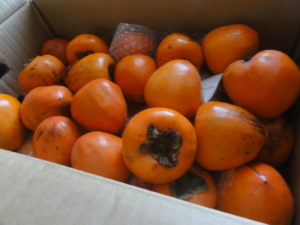 【地楽】自然栽培の柿で作った柿酢