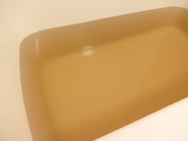 お風呂の万田酵素　健酵入浴液