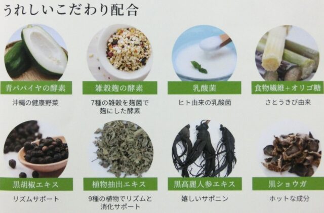 琉球野草酵素